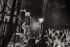 MANU-CHAO_JLCR-8266